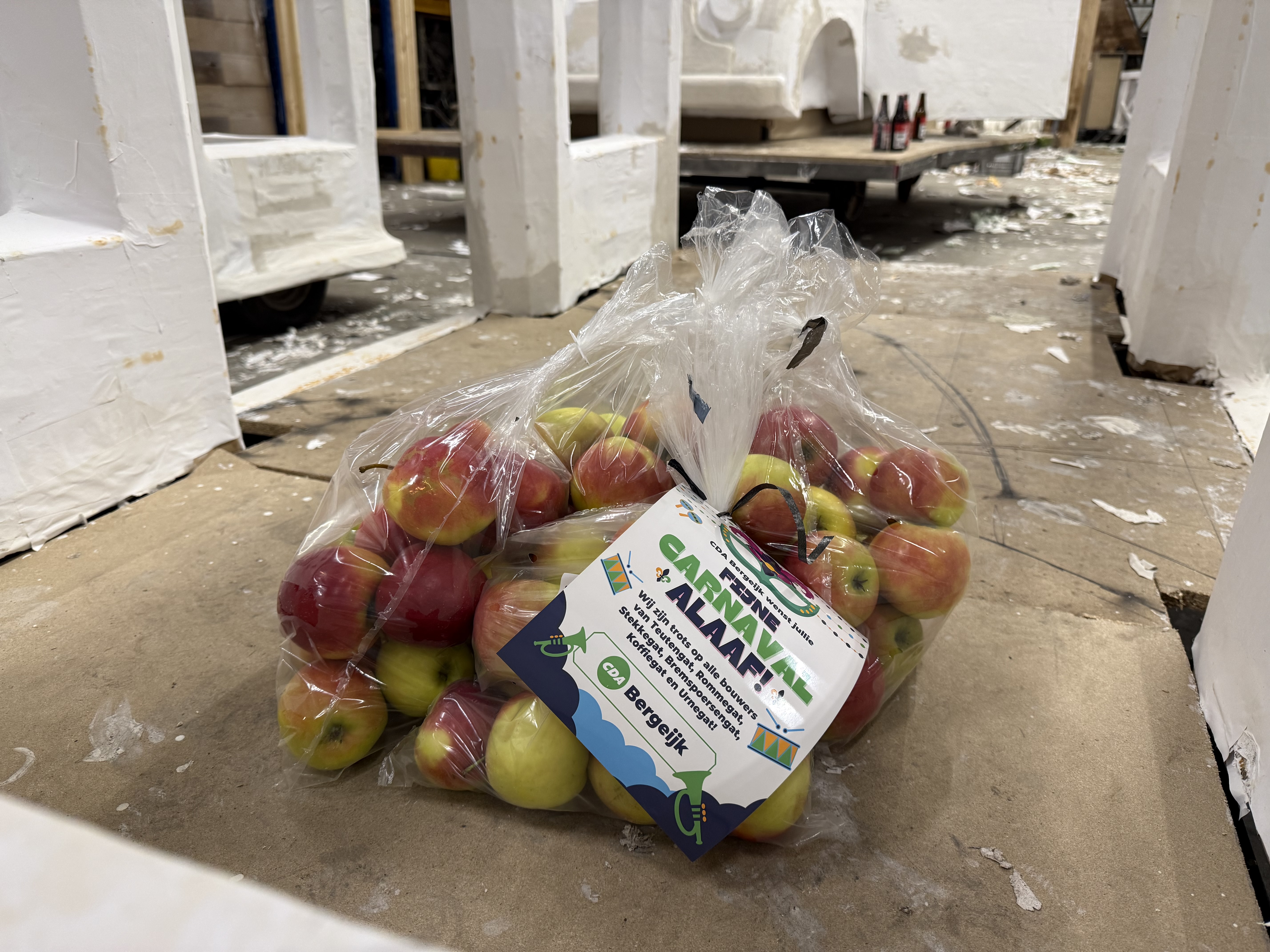 Foto: Carnaval in goede handen