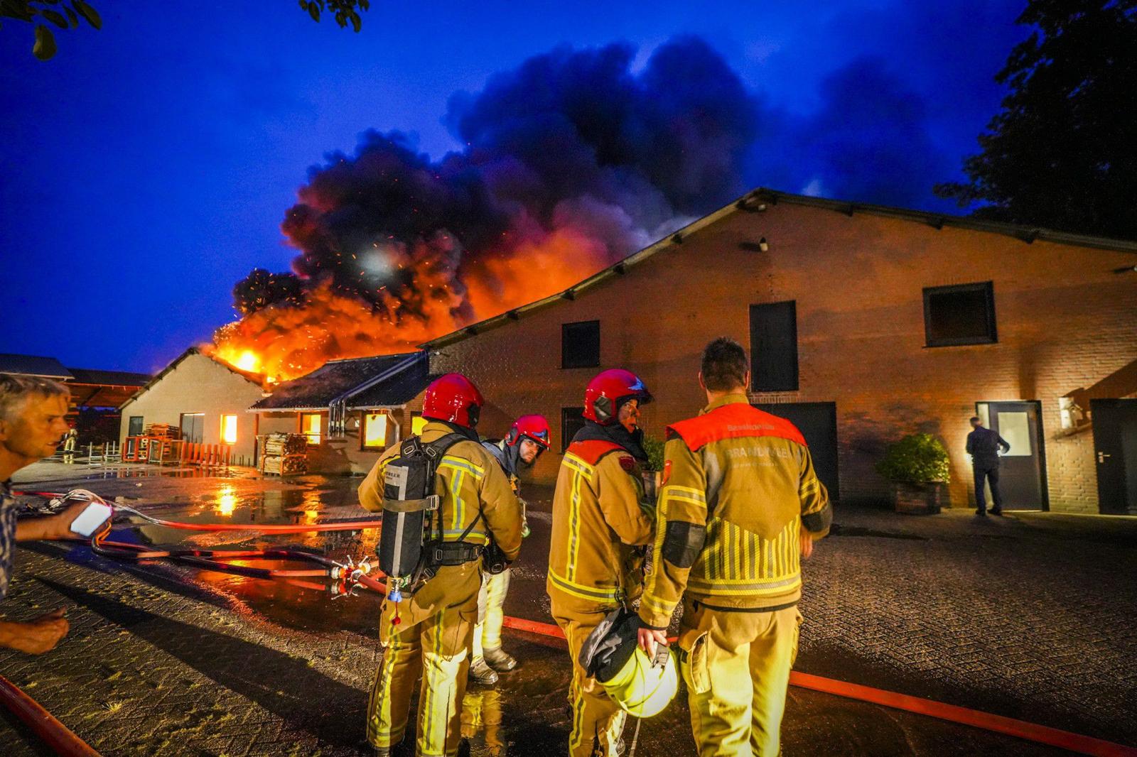 Foto: Grote brand op boerenbedrijf Vessem, duizenden kippen omgekomen