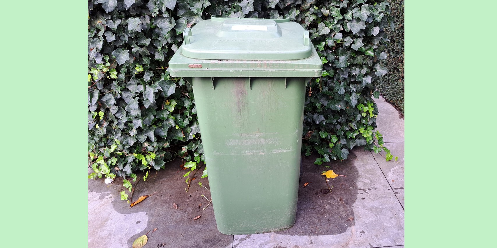 Foto: Gratis GFT-lediging in Cranendonck