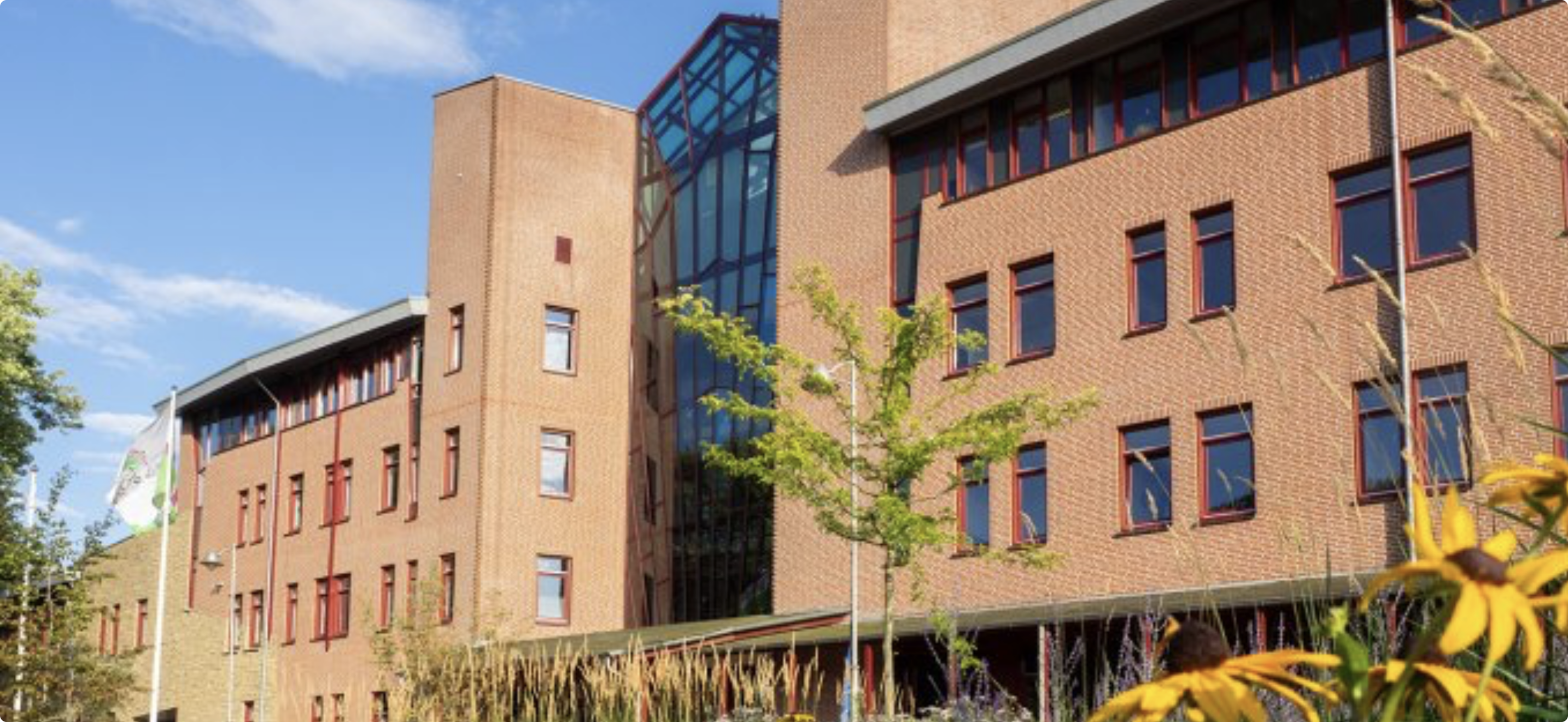 Foto: Inwoners denken mee over profiel nieuwe burgemeester Reusel-De Mierden