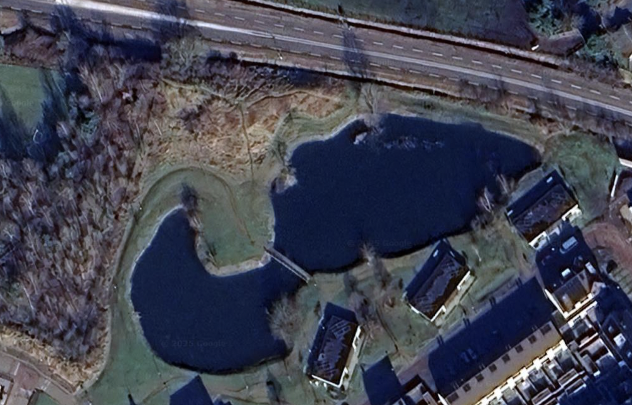 Foto: Blauwalg geconstateerd in vijver Reusel-De Mierden