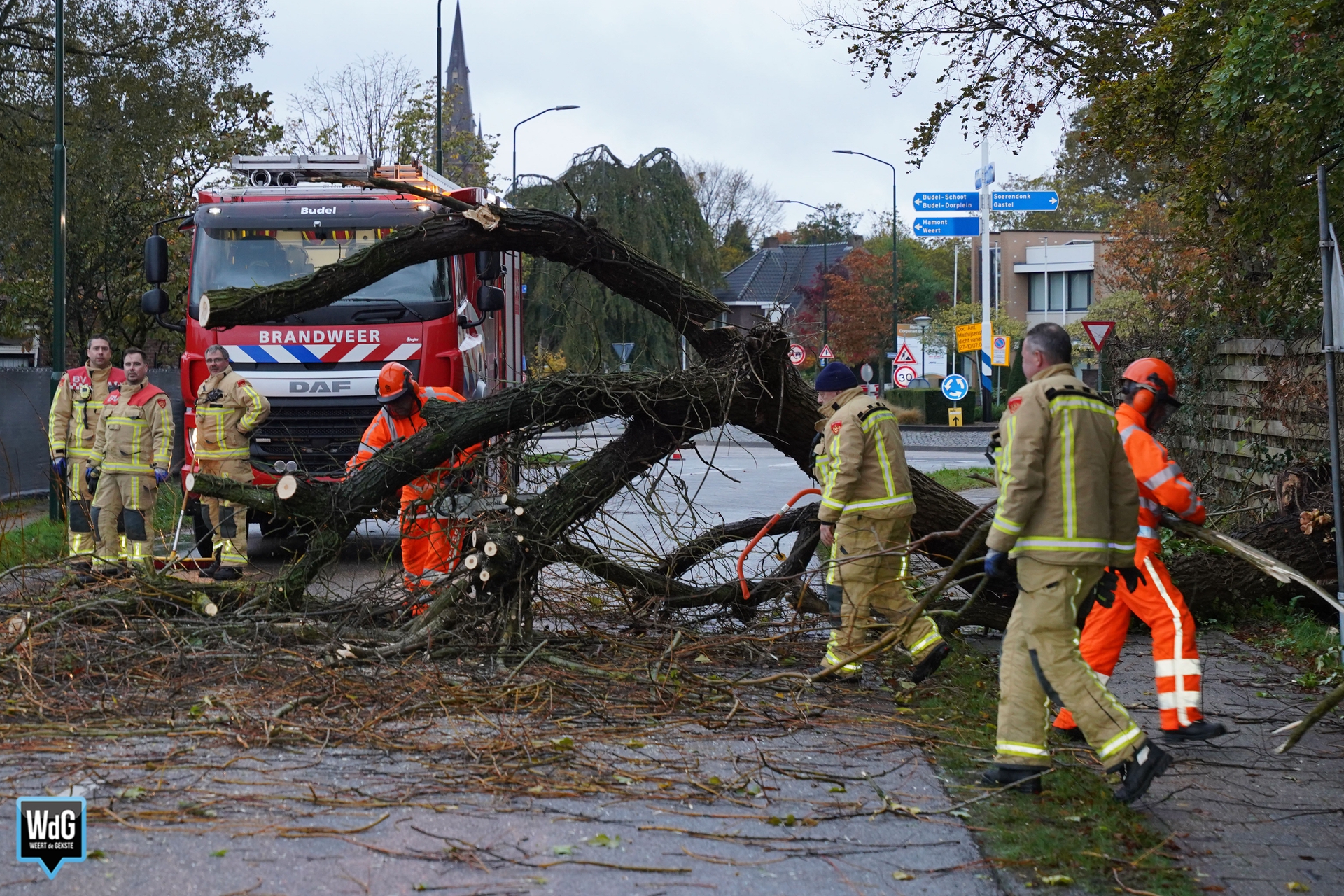 Foto: Nieuwendijk in Budel tijdelijk dicht door omgevallen boom
