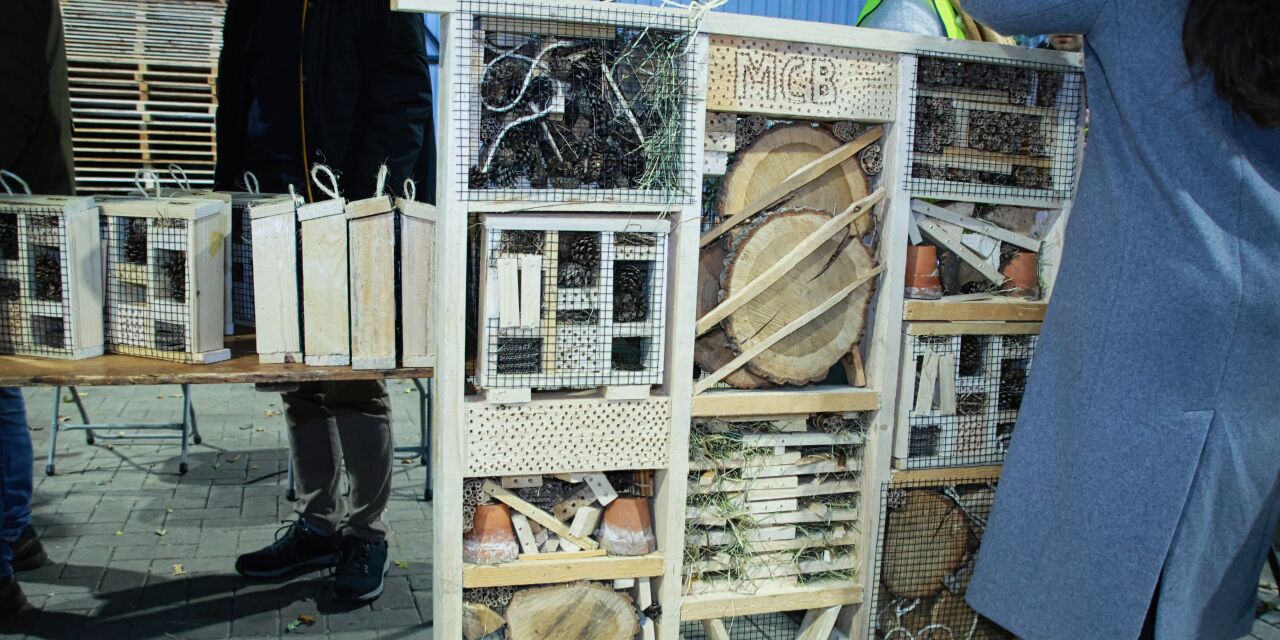 Foto: Honderden inwoners halen fruitboom op tijdens eerste Wood4Groen-dag in Valkenswaard