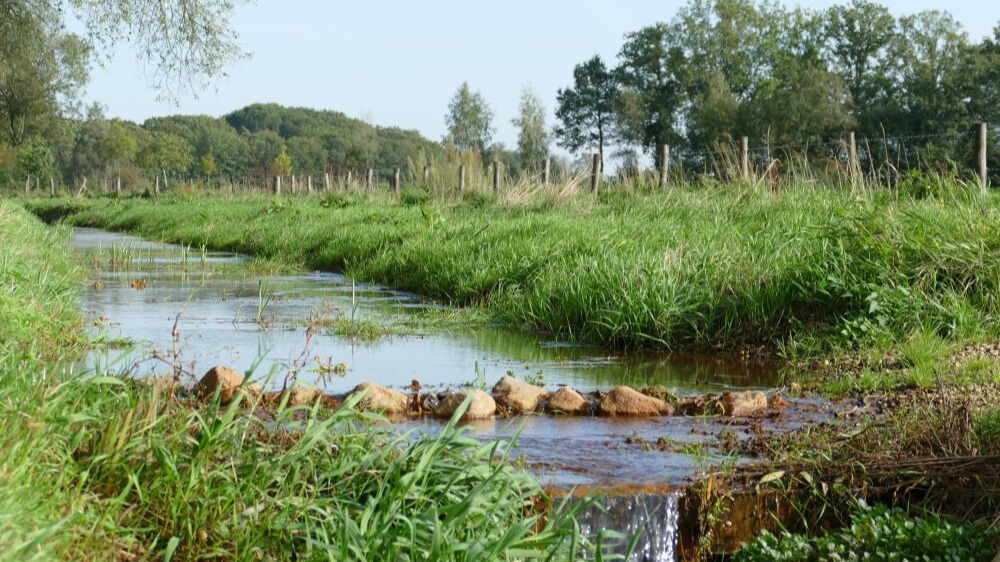 Foto: Waterschap De Dommel kan verder met laatste werkzaamheden Groote Beerze