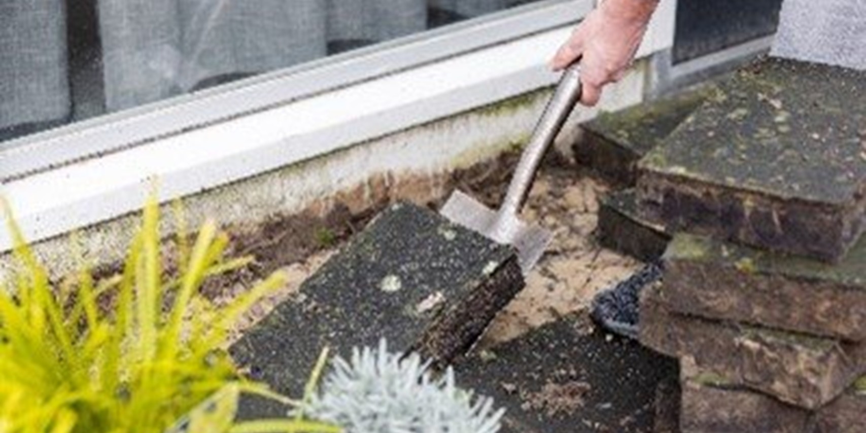 Foto: Reminder ‘Tegel eruit, bloembol erin’