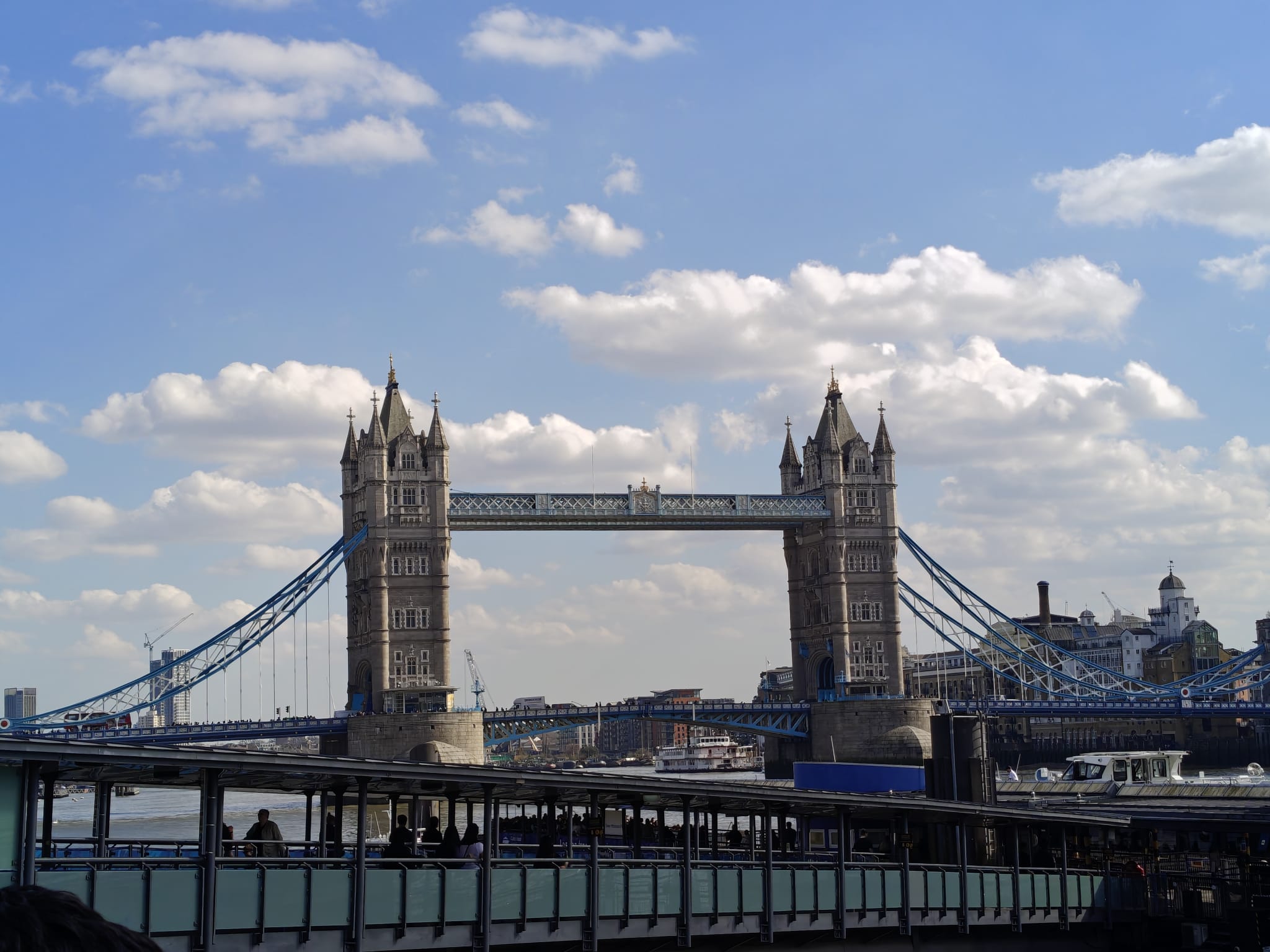 Foto: Twintig jaar TTO in de Kempen: ‘Taal is een manier om de wereld aan je voeten te krijgen’ 