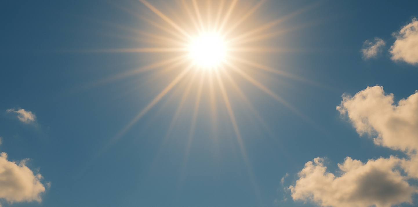 Foto: Warmste 2 maart sinds begin vorige eeuw in De Kempen