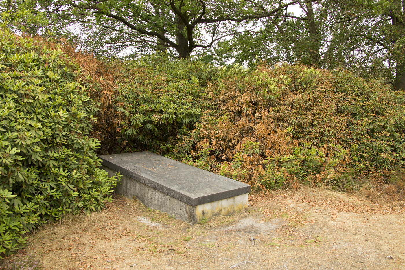 Foto: Cultuurhistorische wandeling, landgoed De Dellen