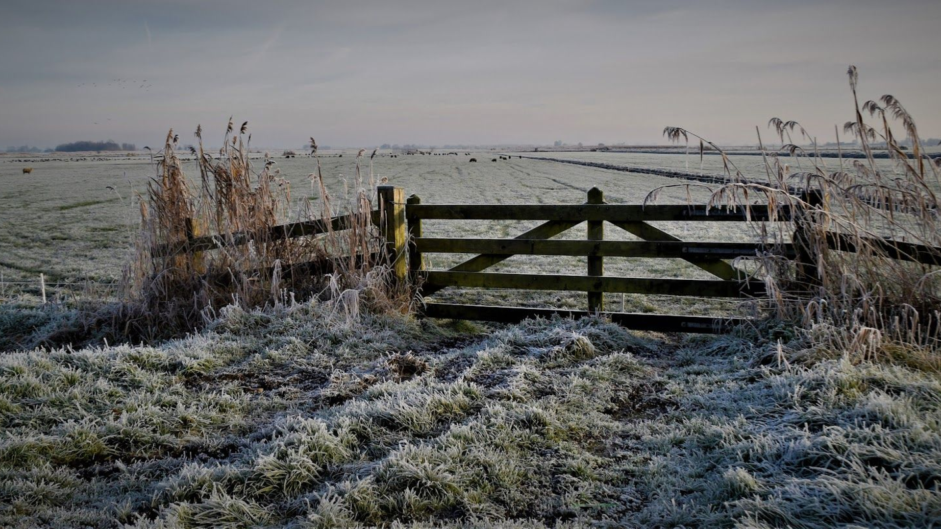 Foto: Maandverwachting: winter zet niet door in december