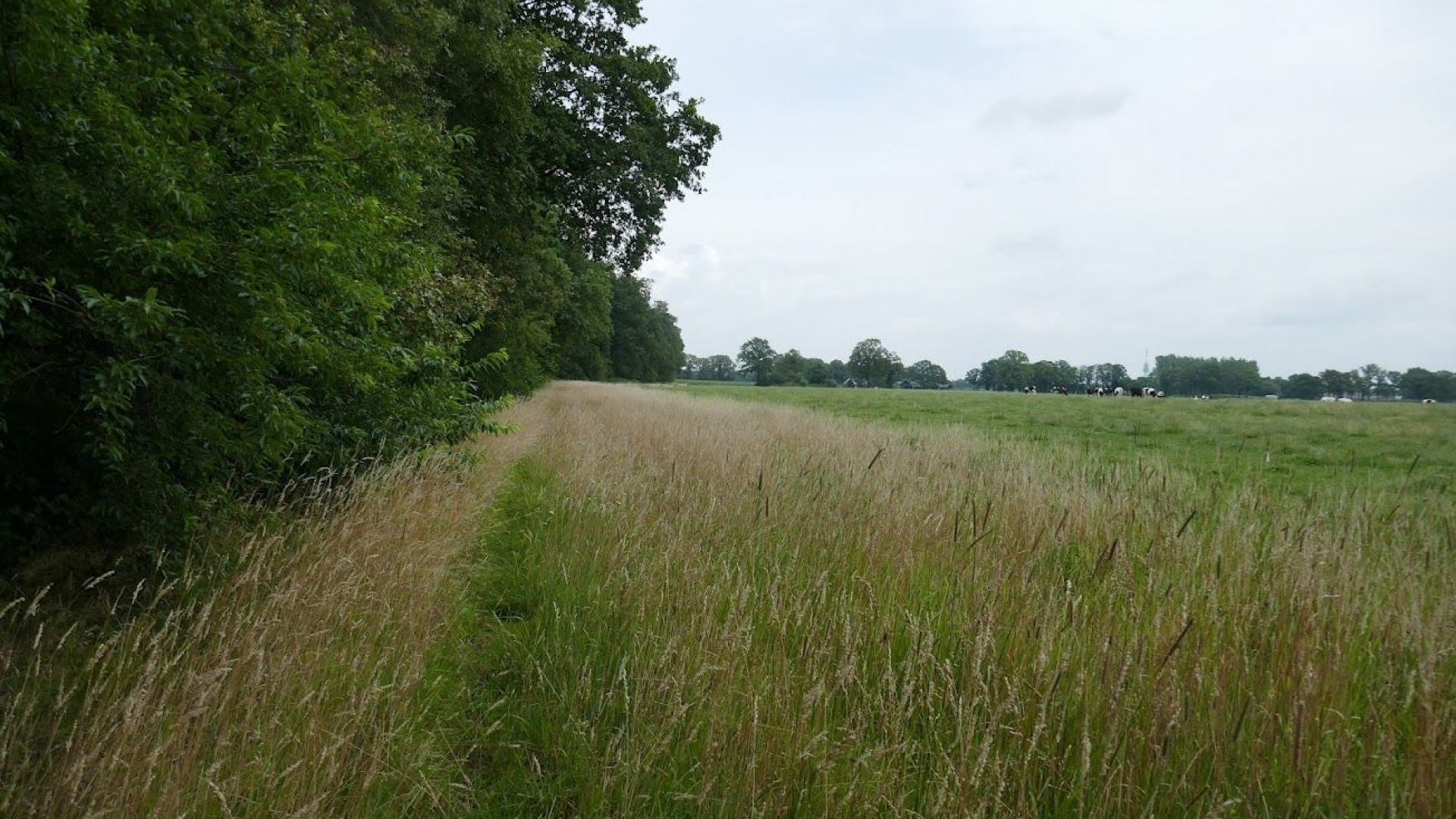 Foto: Meer geld voor agrarisch natuur- en landschapsbeheer
