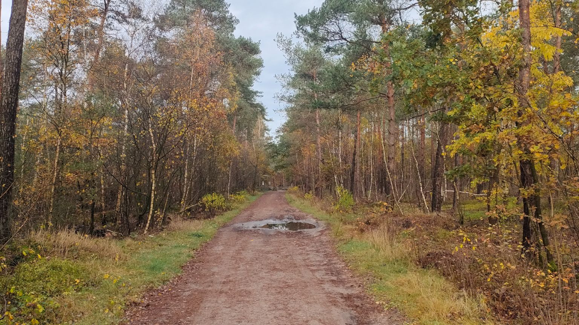 Foto: Nabestaanden Winterwandeling