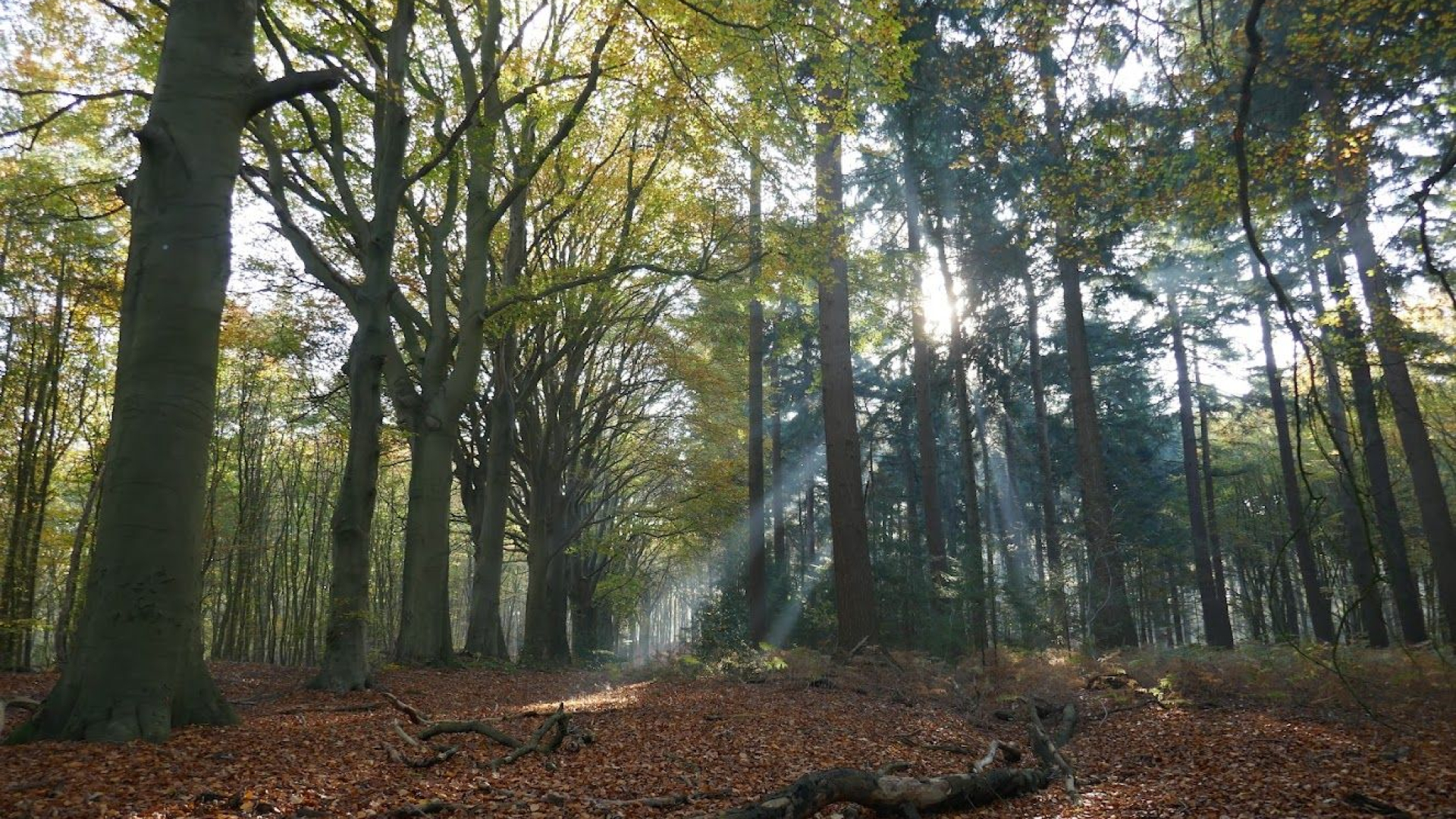 Foto: Rouwcafé Gemeente Elburg
