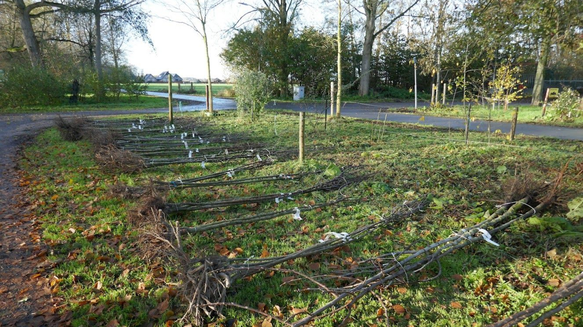 Foto: Subsidieregeling voor een klimaatbestendige tuin