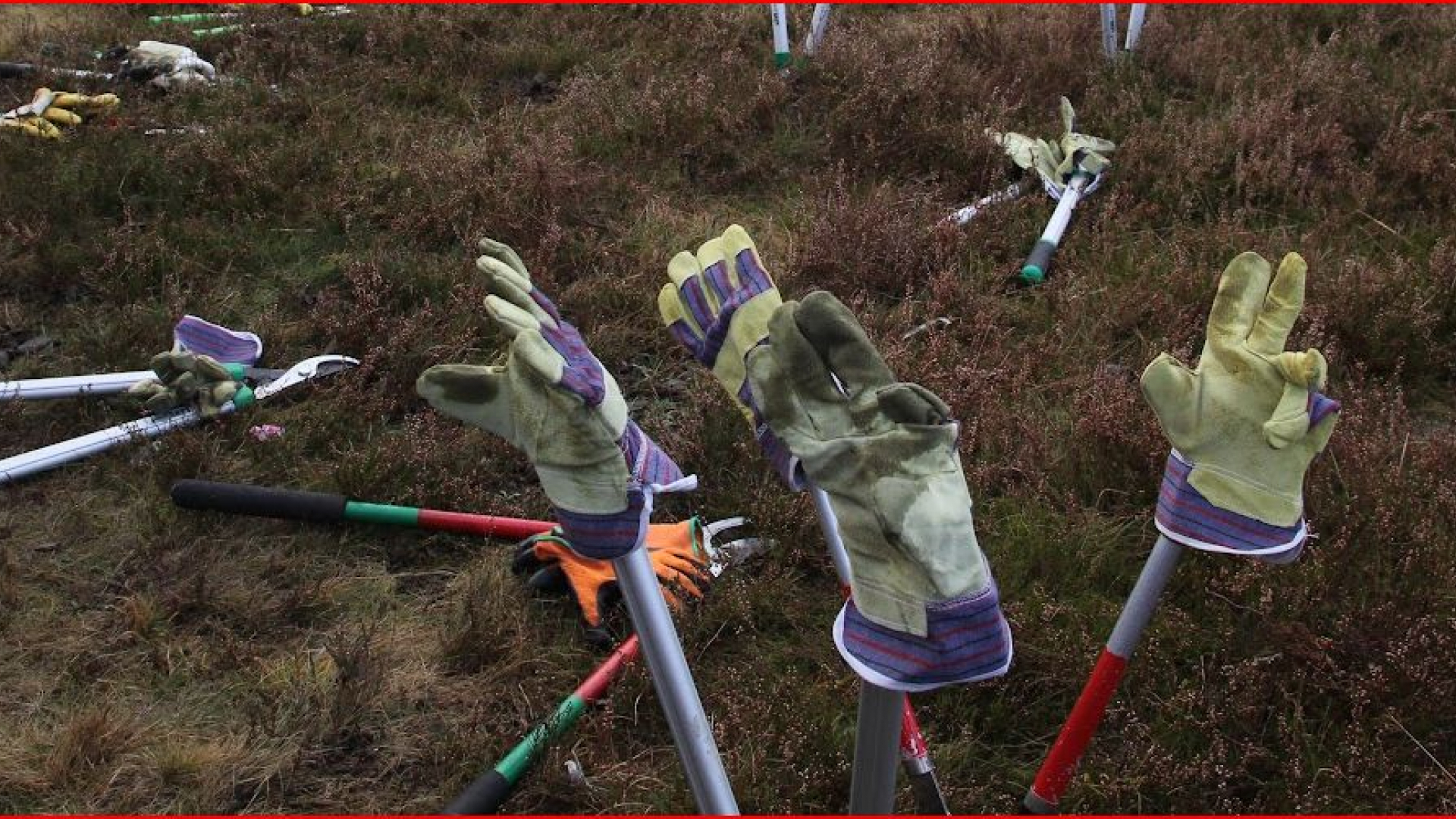 Foto: Natuurwerkdag in de gemeente Elburg