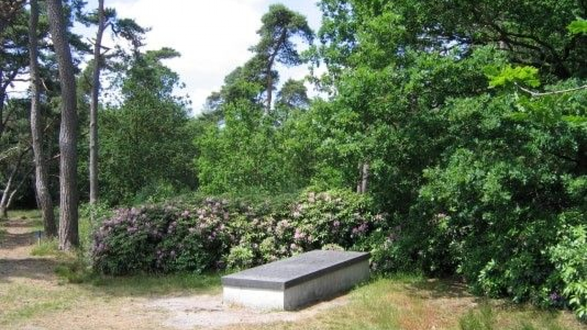 Foto: Cultuurhistorische wandeling op landgoed De Dellen