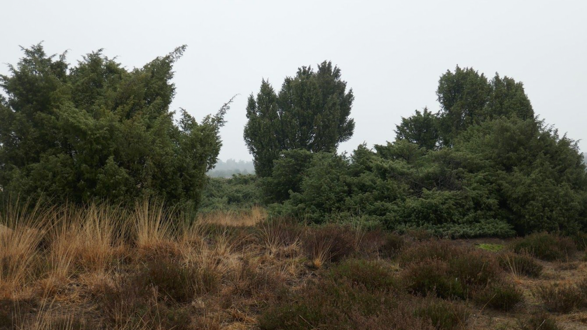 Foto: Gespreksgroep Verder met verlies