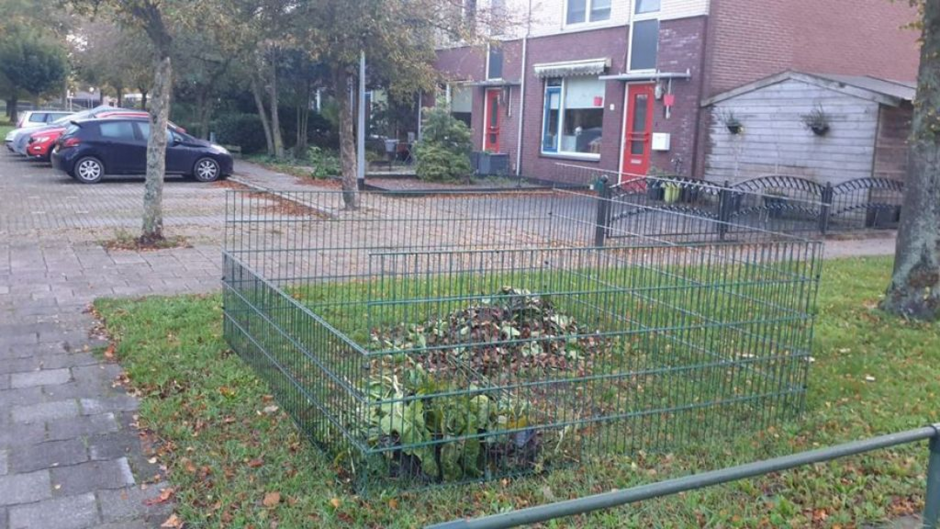 Foto: Plaatsen bladkorven