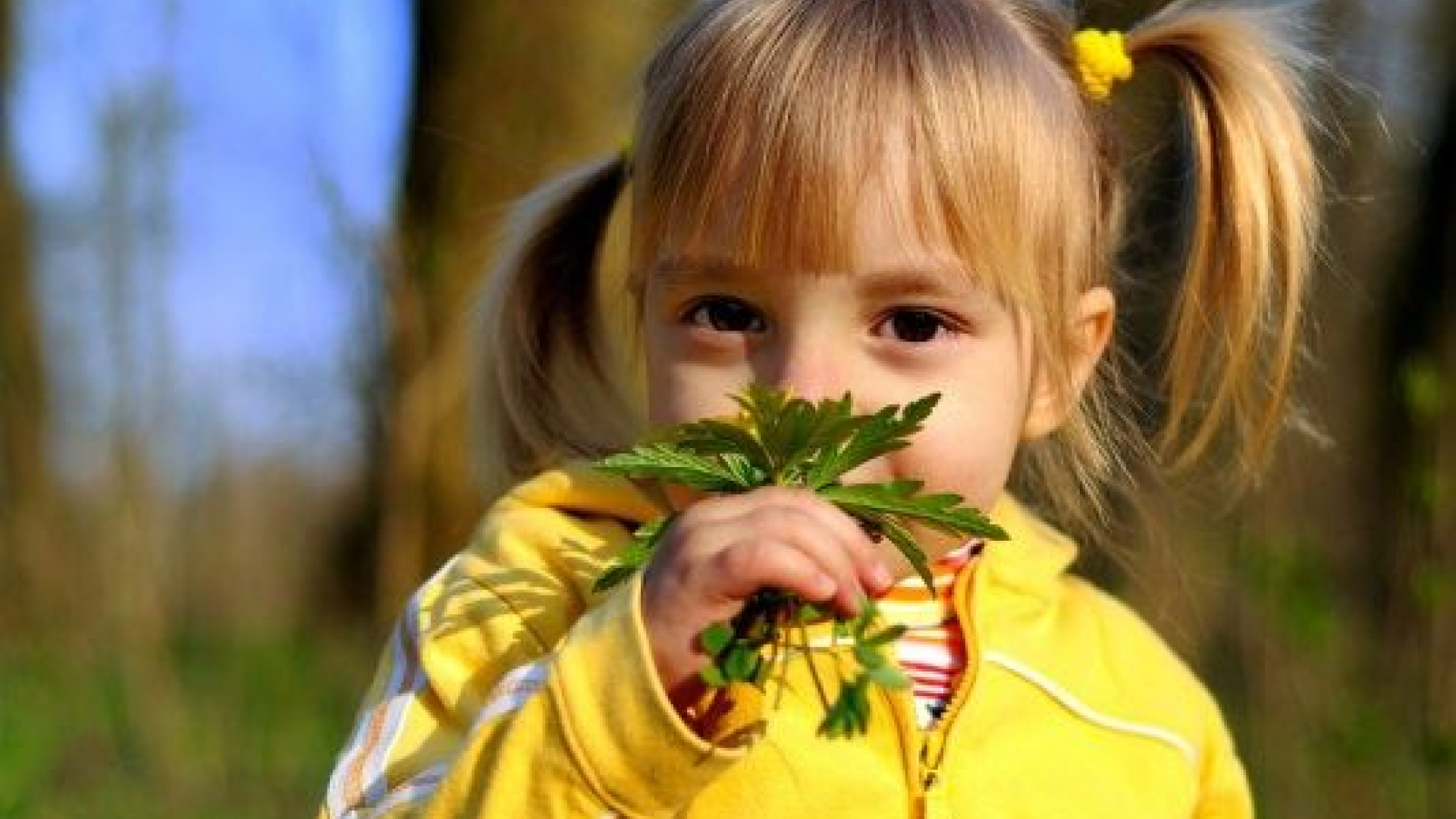 Foto: Kinderwandeling op Majuba