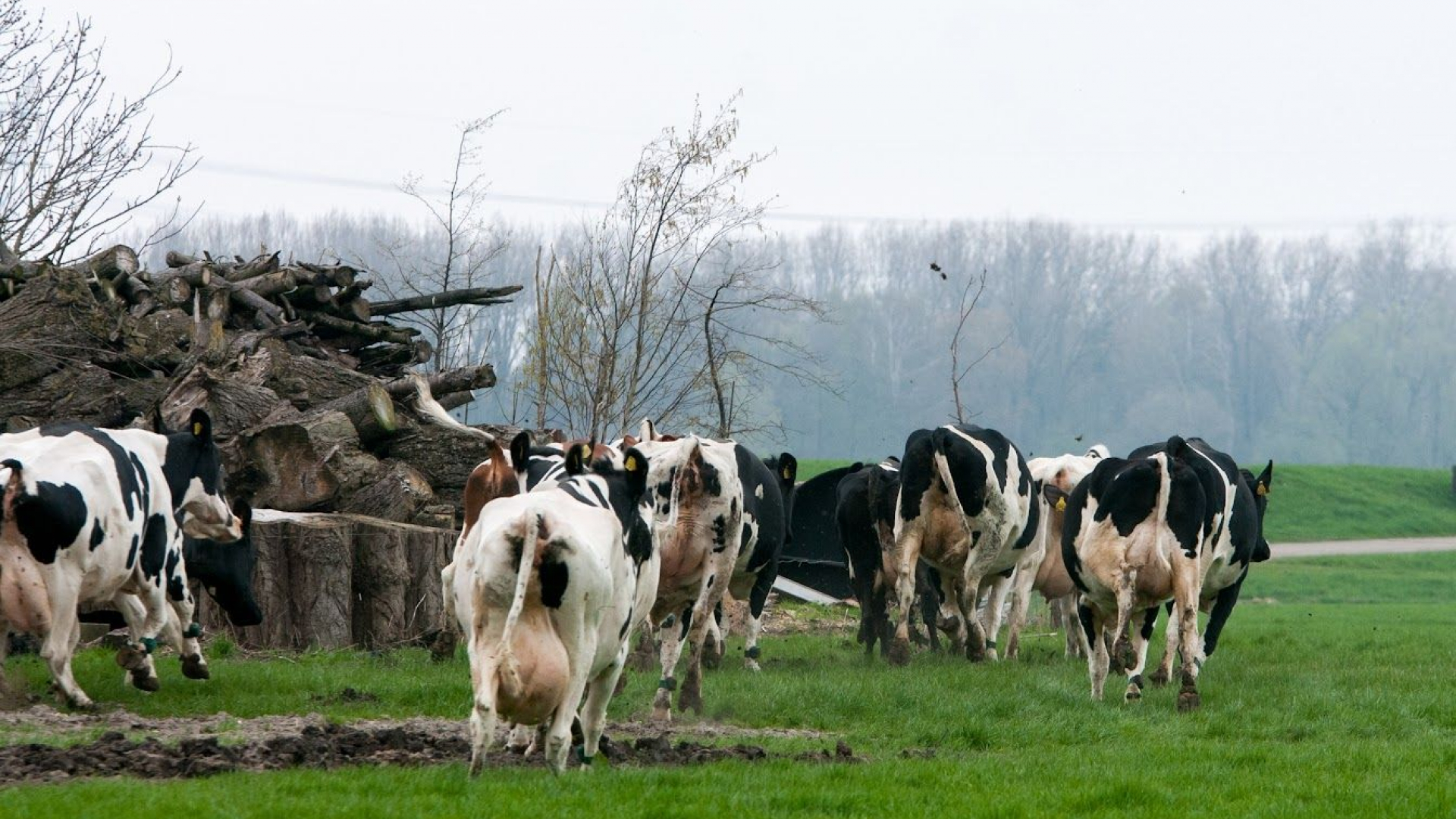 Foto: ChristenUnie en VVD willen helderheid over voorstel Stichting De Vier Merken