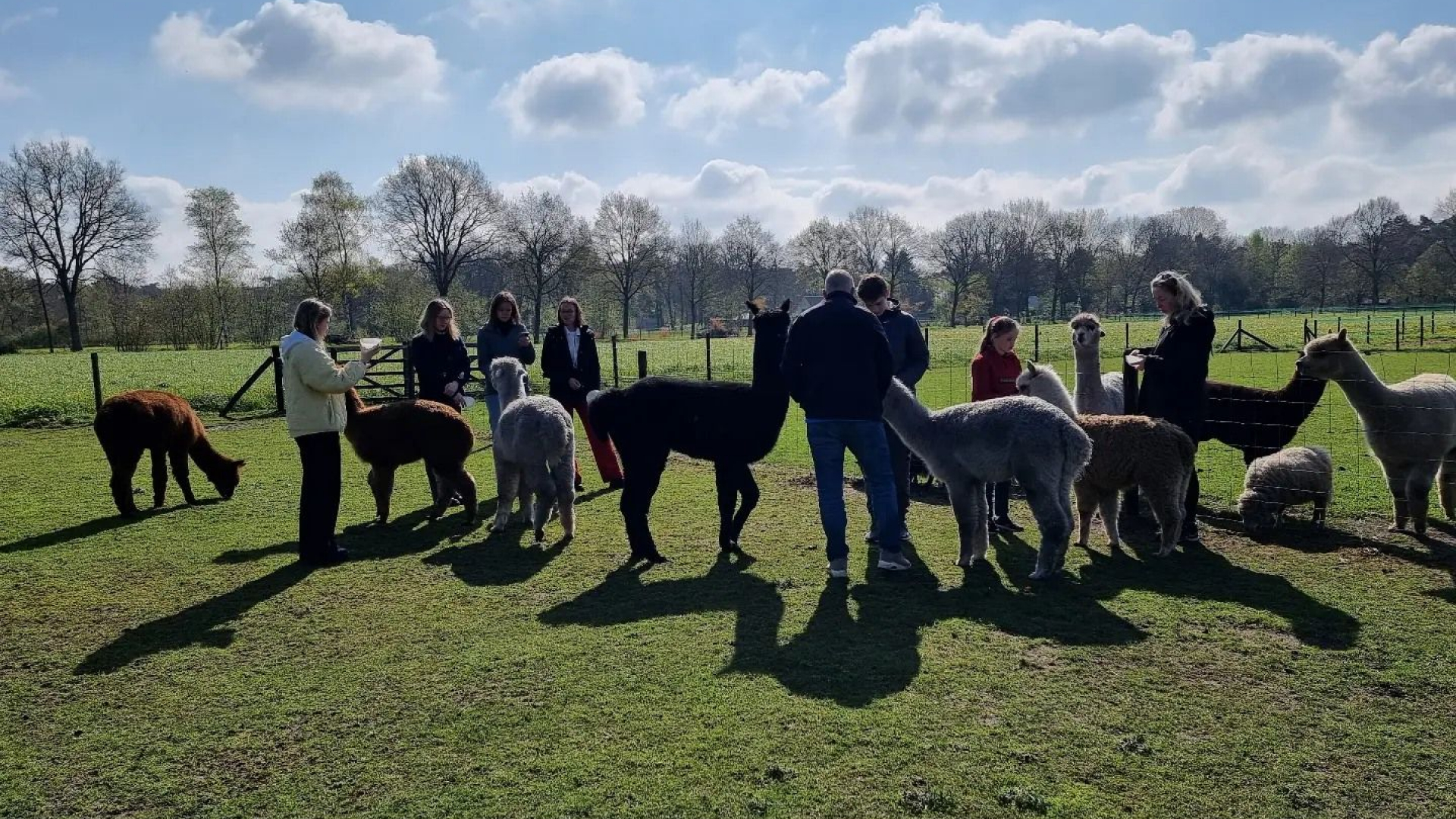 Foto: Herfstwandelingen Dierenhoeve Wessinge