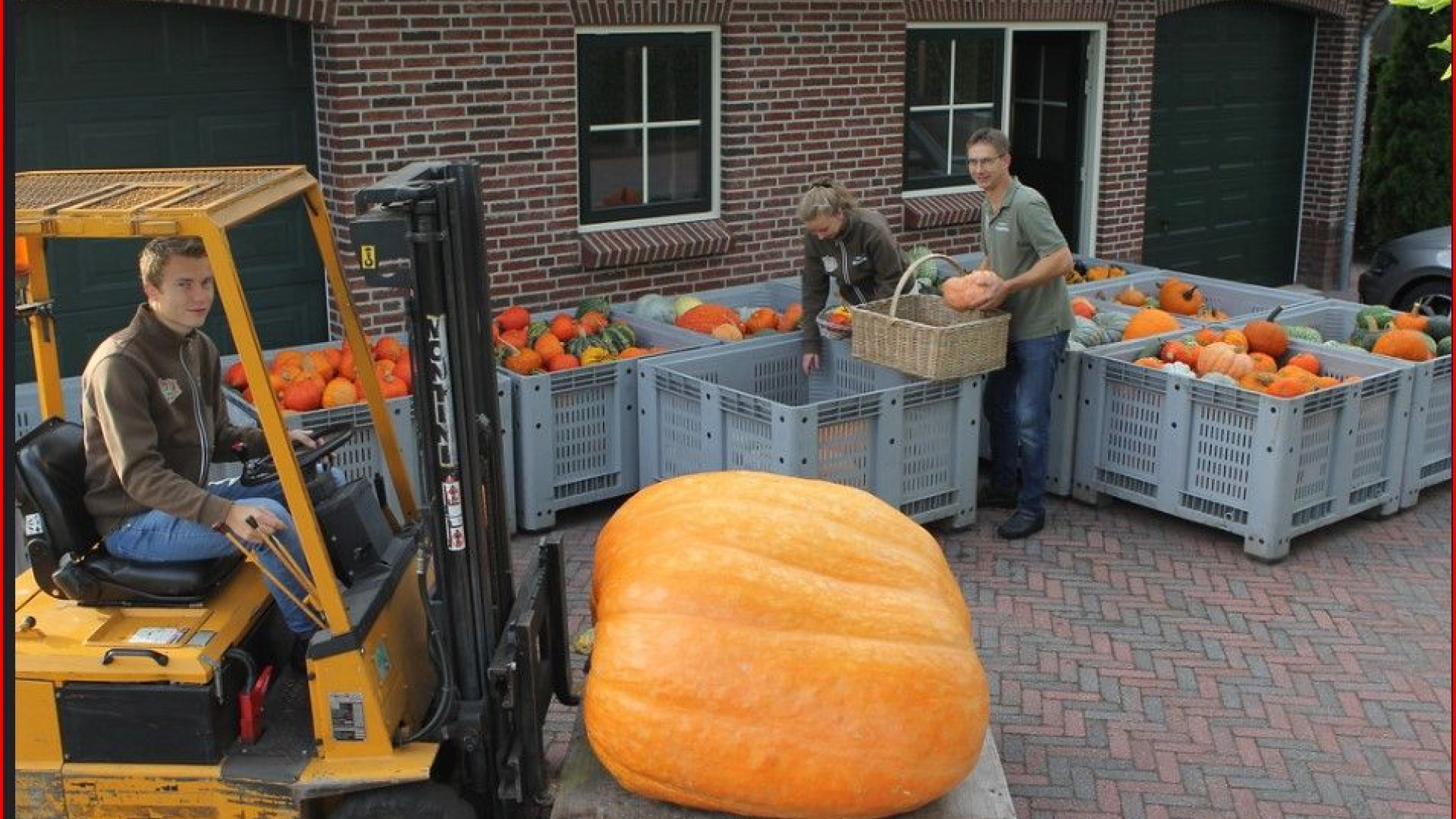 Foto: Raad het gewicht van de reuzenpompoen