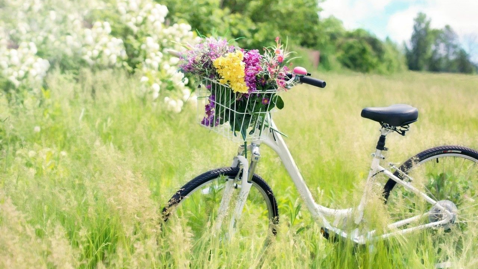 Foto: 5 tips voor een perfecte fietsvakantie
