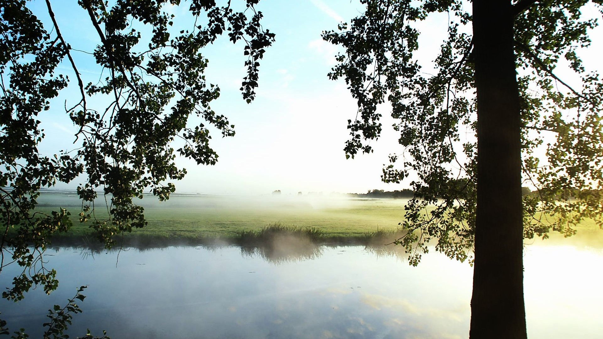 Foto: Ochtendmist boven de grachten van Elburg