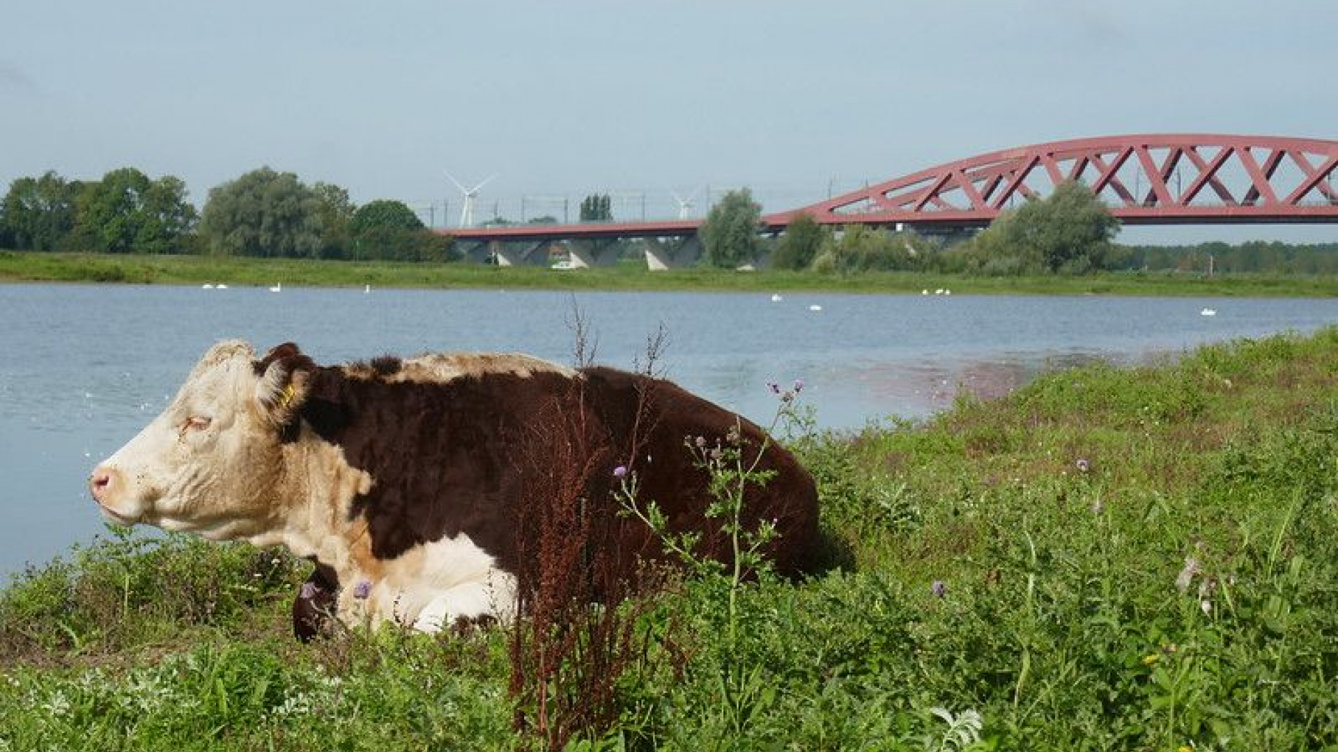 Foto: Nieuw schellerwaardenpad