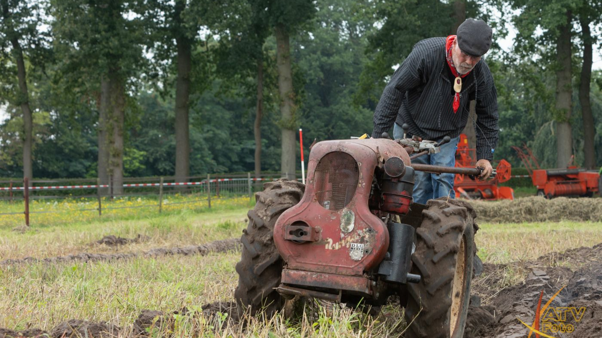 Foto: Gezellige drukte op Oogstdag Kamperveen