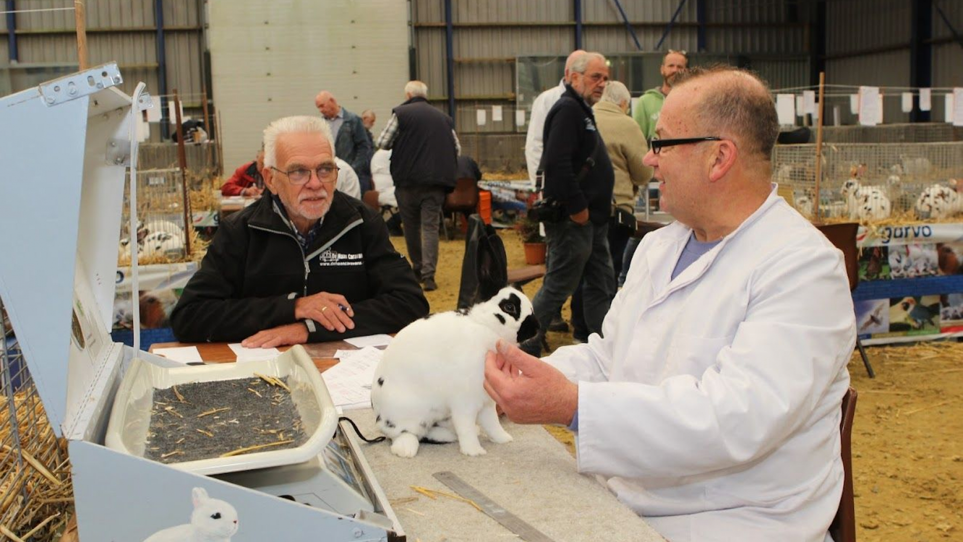Foto: IJsselvliedtshow Nut en Sport Wezep