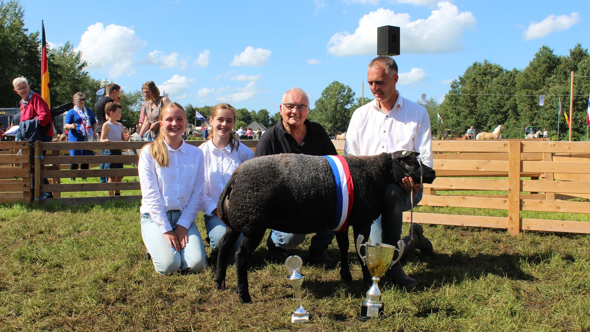 Foto: Na valse start toch een geslaagde Texelaar keuring op Oogstfeest