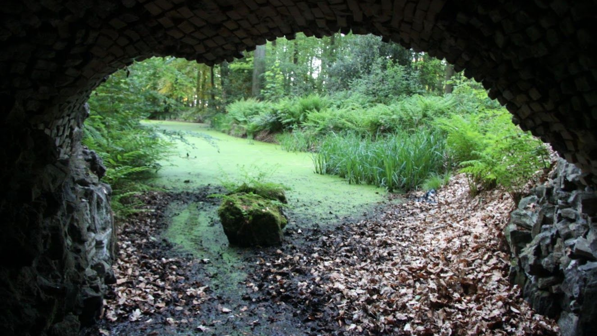Foto: Met Groentje naar de grotten van Wezep