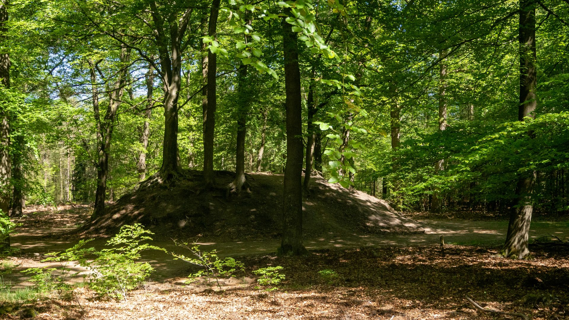 Foto: Wandel mee langs duizenden jaren landschapsgeschiedenis