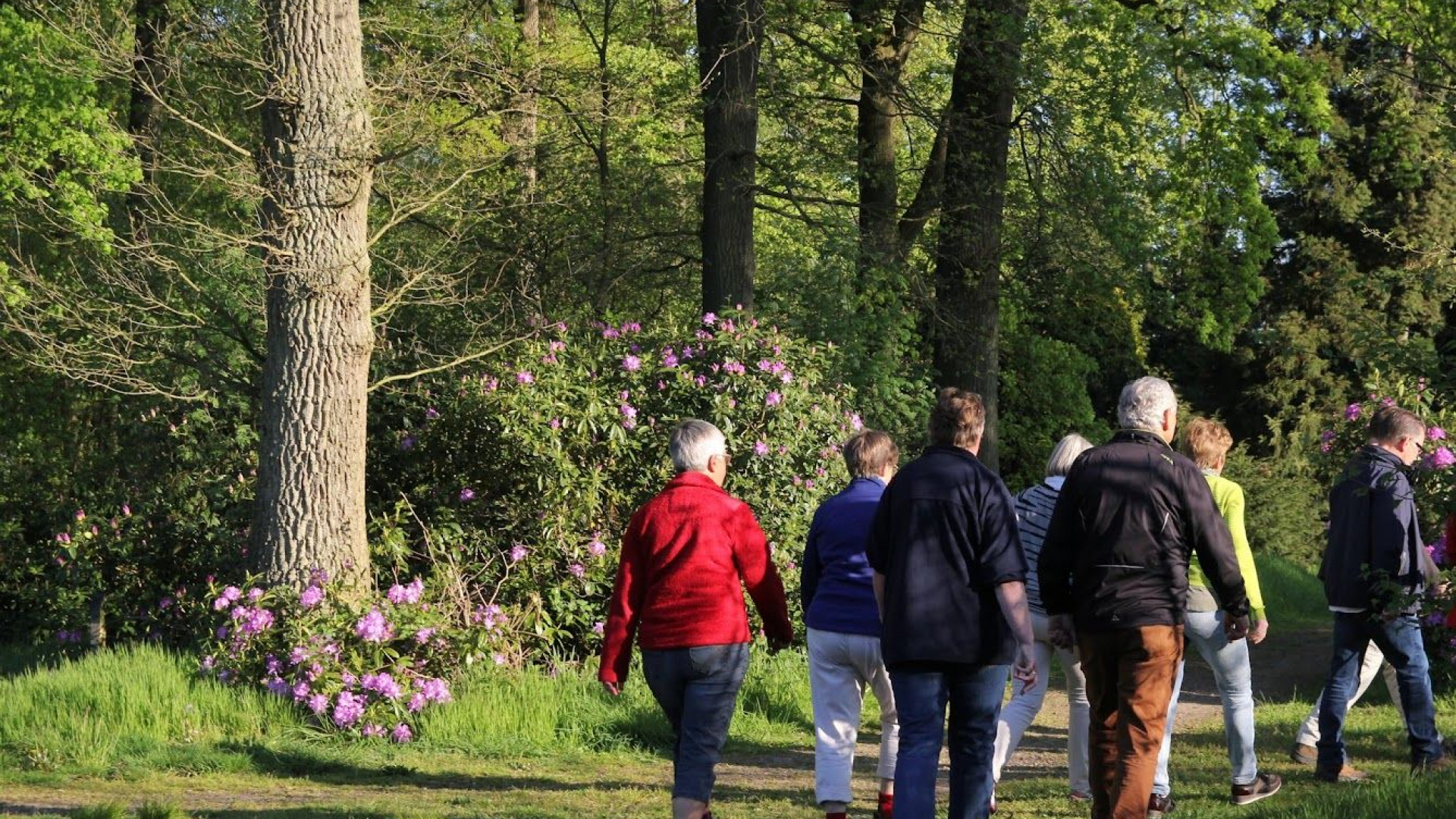 Foto: Wandeltocht van WIEL