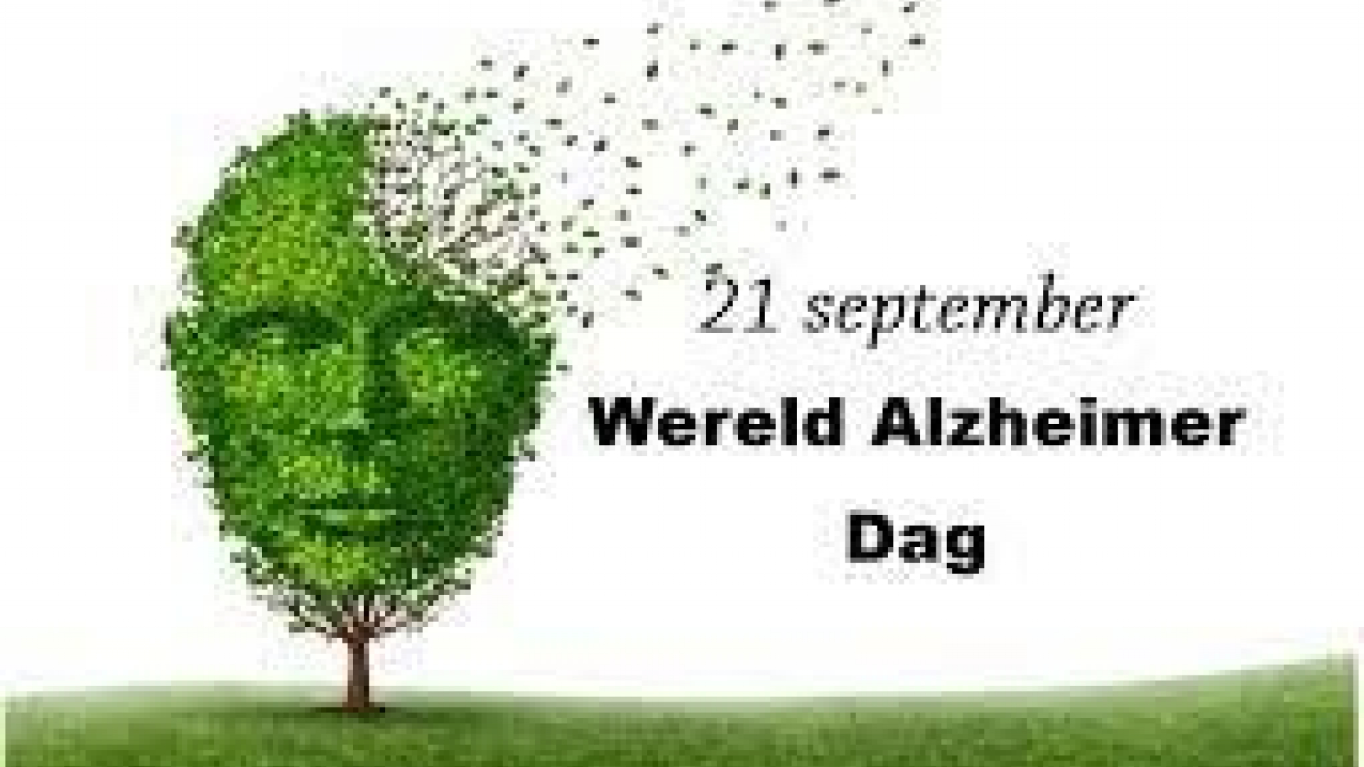 Foto: Gesprek met Gert Zomer over Wereld Alzheimerdag