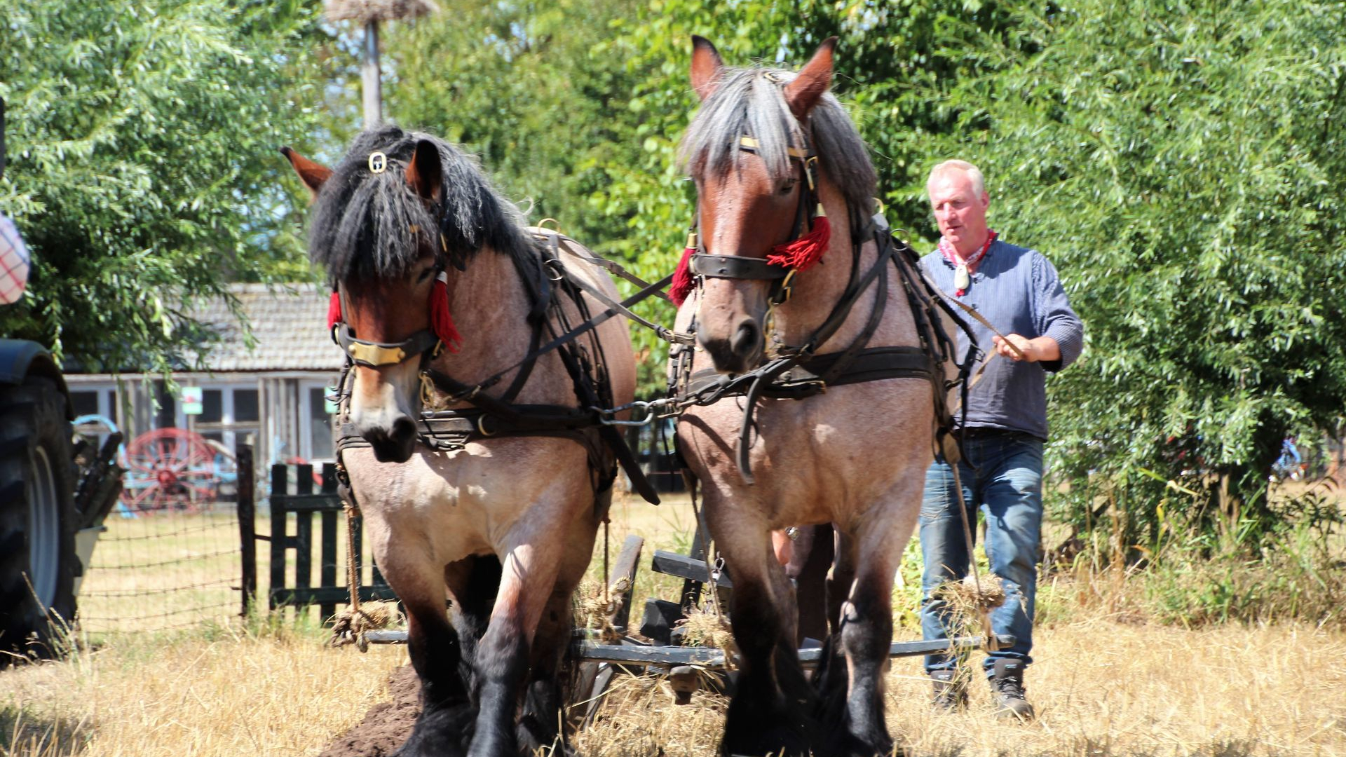 Foto: Veel bezoekers verwacht op het Oogstfeest