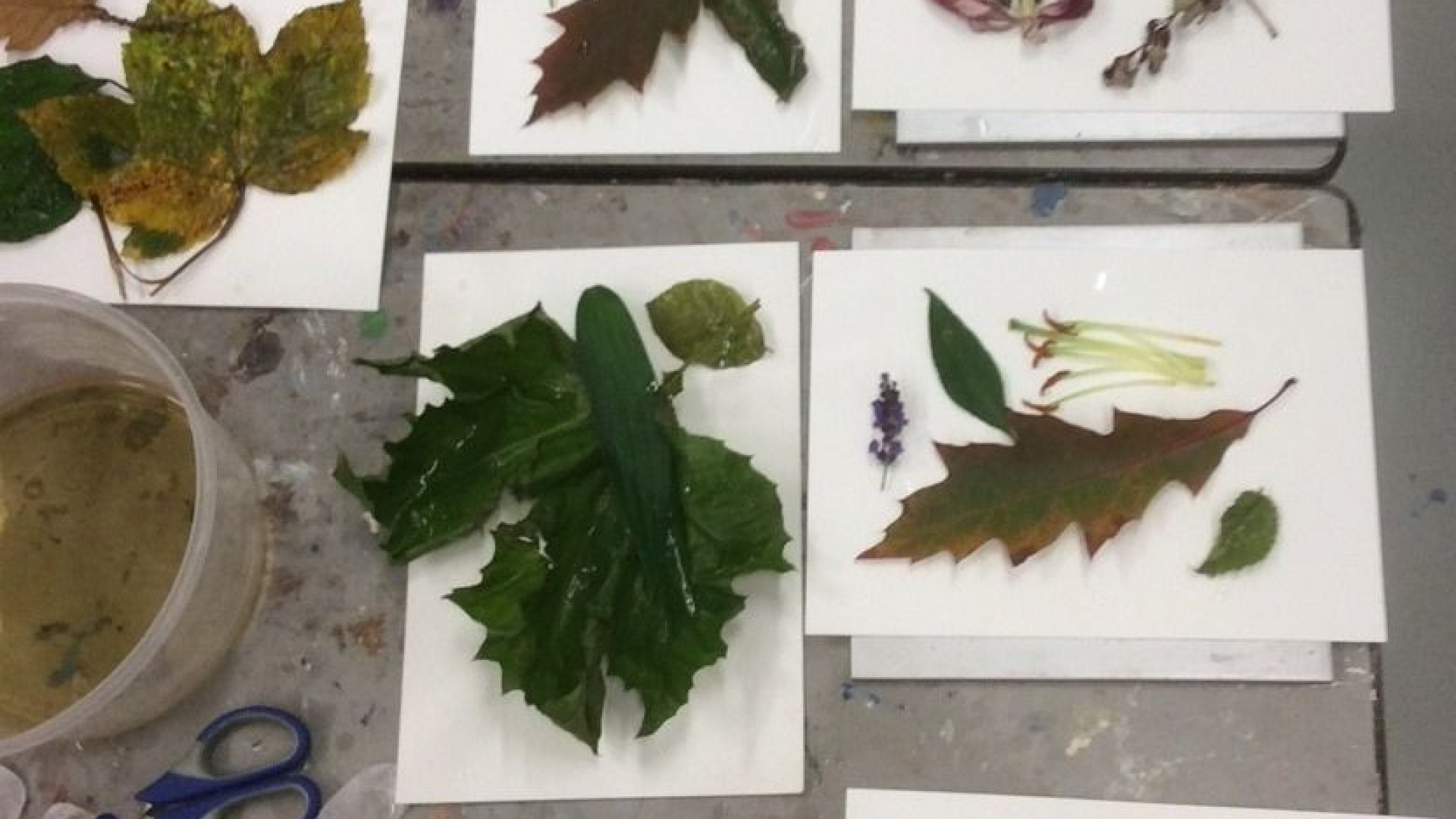 Foto: Kinderworkshop blad printen