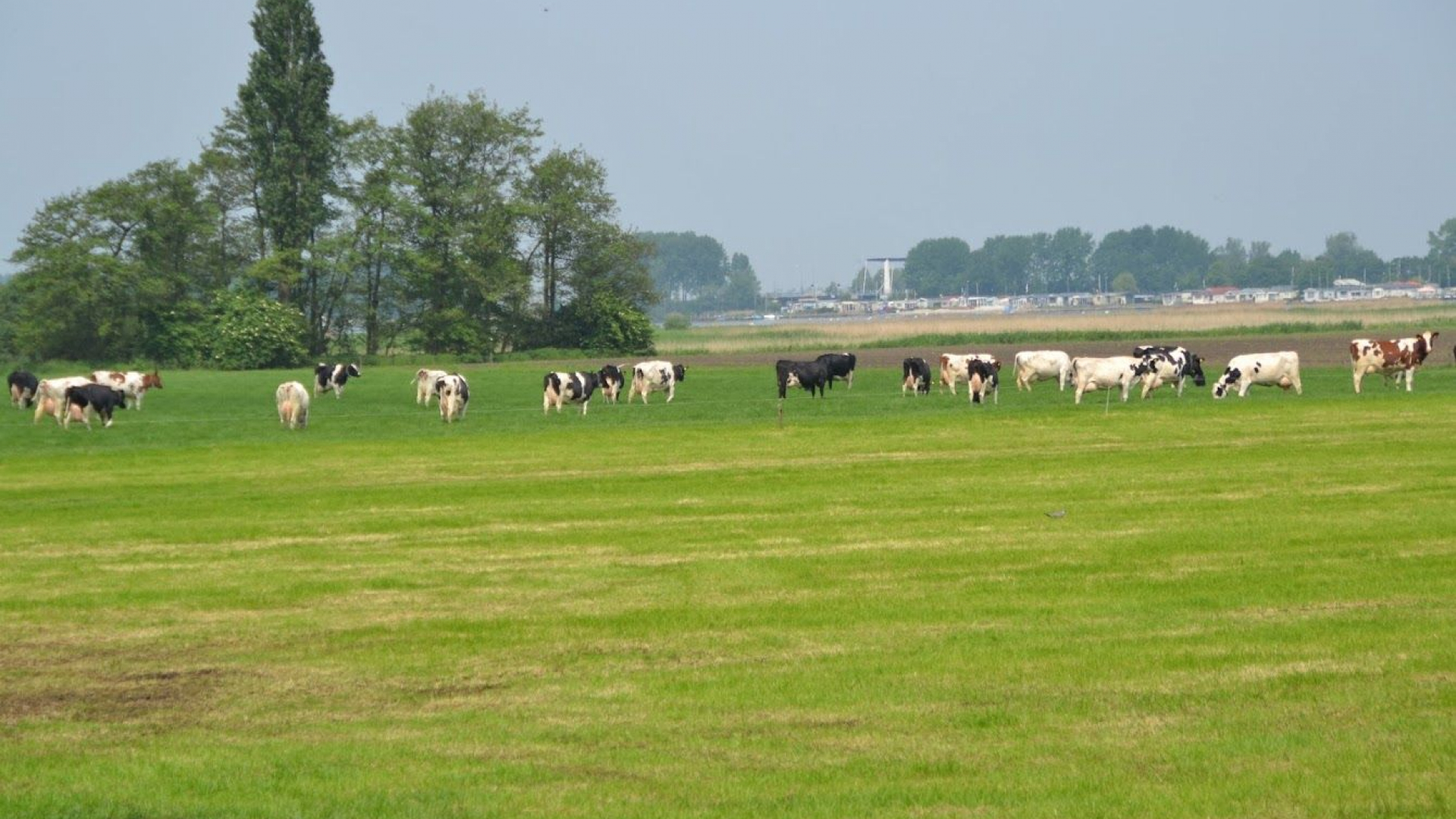 Foto: Gelderse plannen voor het landelijk gebied aangeboden