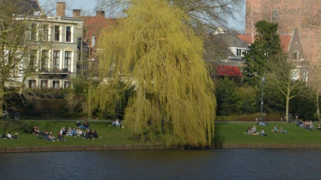 Foto: Natuur binnen de stadsgrachten van Zwolle