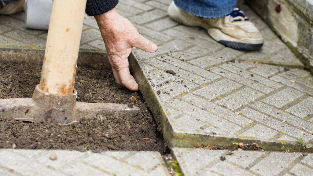 Foto: Een koelere tuin? Haal je tegels eruit en laat ze gratis ophalen door de tegeltaxi