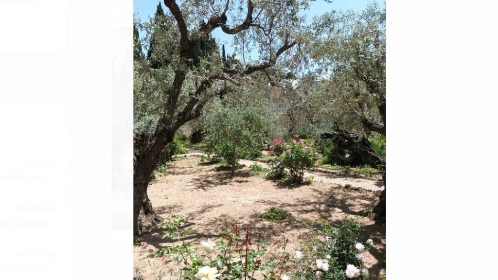 Foto: Een nieuw geplande Israelreis