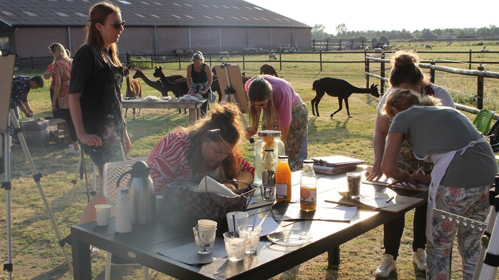 Foto: Creatief tussen de alpaco’s