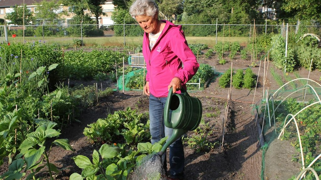 Foto: Genieten van de opbrengst uit je eigen tuin