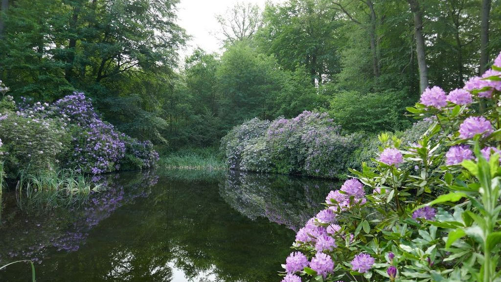 Foto: Het Arboretum en het Pinetum