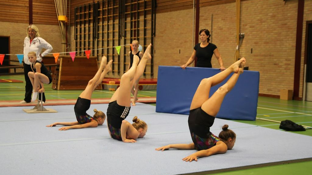 Foto: Chr. Gymnastiekvereniging OLVO Wezep zoekt nieuwe gymleiding