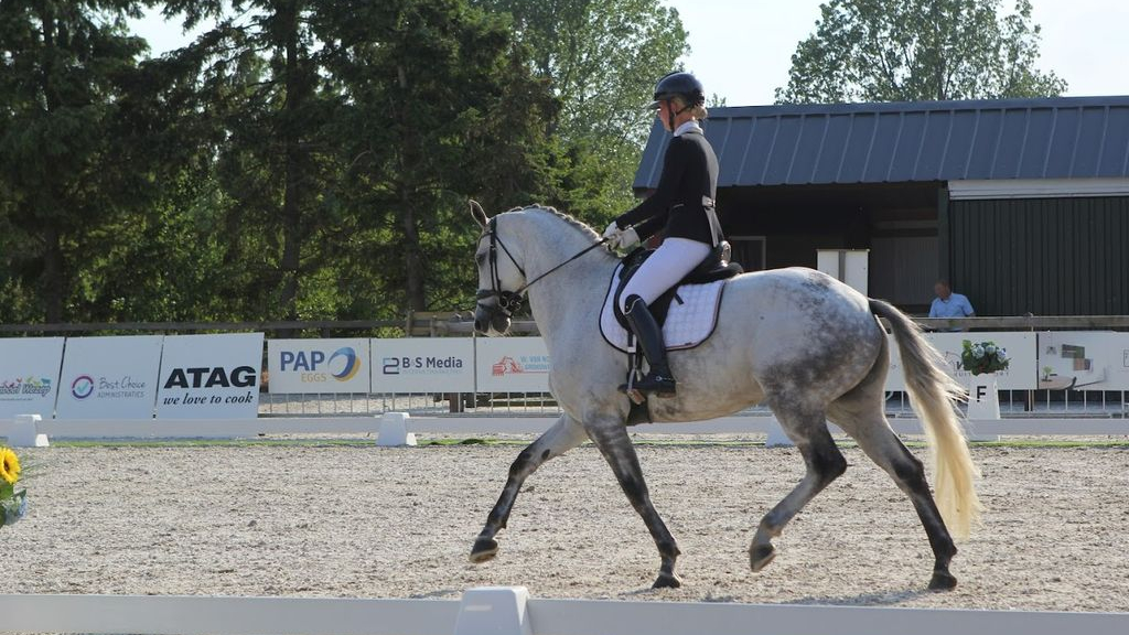 Foto: ‘Daar kunnen we een heel leuke pony voor kopen'