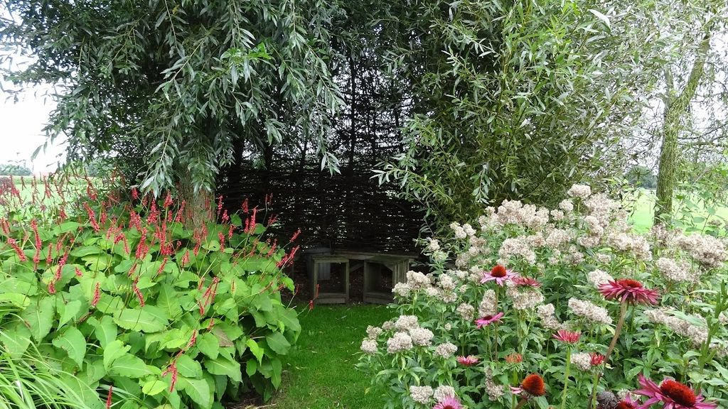 Foto: Uw huis of tuin verduurzamen? Plan nu een duurzaam coach- of adviesgesprek aan huis