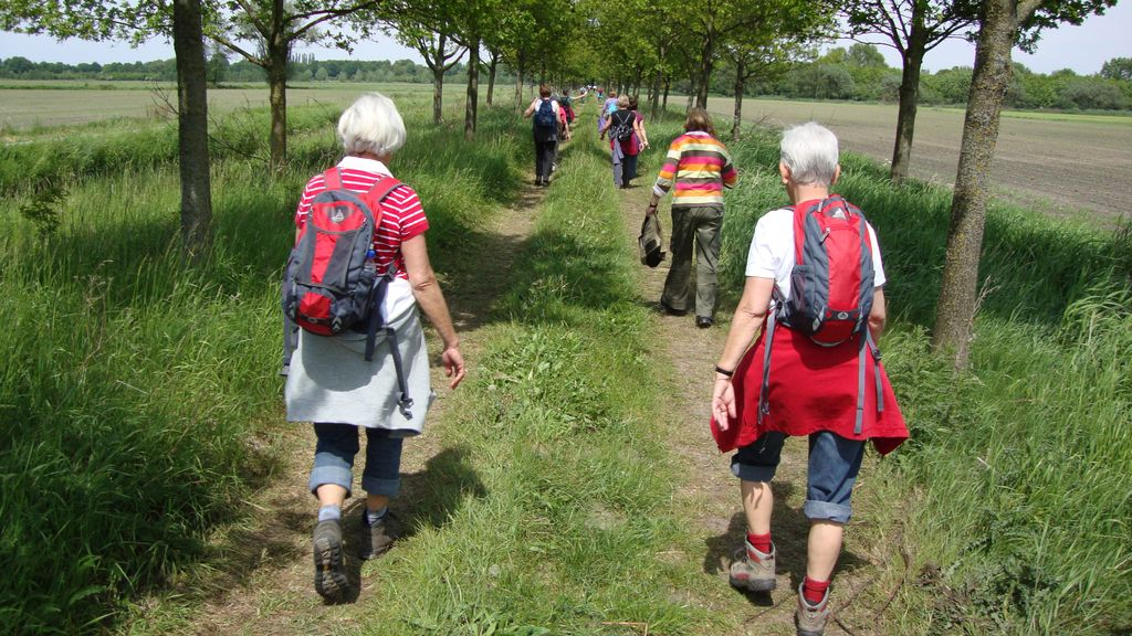 Foto: Wandeltocht tussen de Hanzesteden Elburg en Hattem
