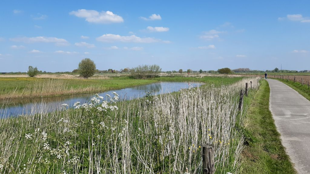 Foto: IVN Natuurtocht “Voorjaar in de IJssel-uiterwaarden bij Hattem”