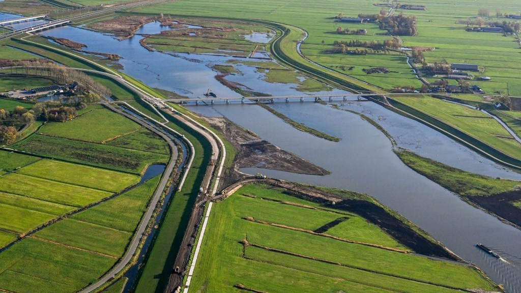 Foto: Koeien gaan dood. Vervuilde grond in dijken?